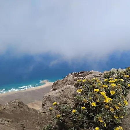 Апартаменты Casa De Marina Коста Калма